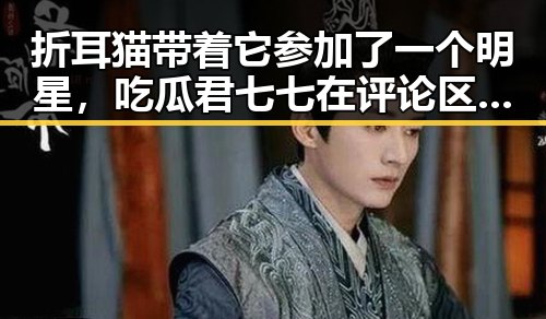 折耳猫带着它参加了一个明星，吃瓜君七七在评论区大吐槽南北文化差异