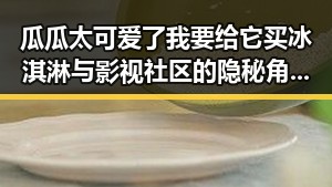 瓜瓜太可爱了我要给它买冰淇淋与影视社区的隐秘角落共展吃瓜新体验