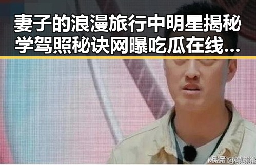 妻子的浪漫旅行中明星揭秘学驾照秘诀网曝吃瓜在线观看的背后故事