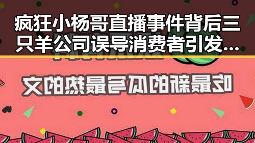 疯狂小杨哥直播事件背后三只羊公司误导消费者引发巨大震动